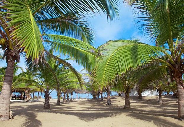 Genieten op het strand bij Kalipitiya